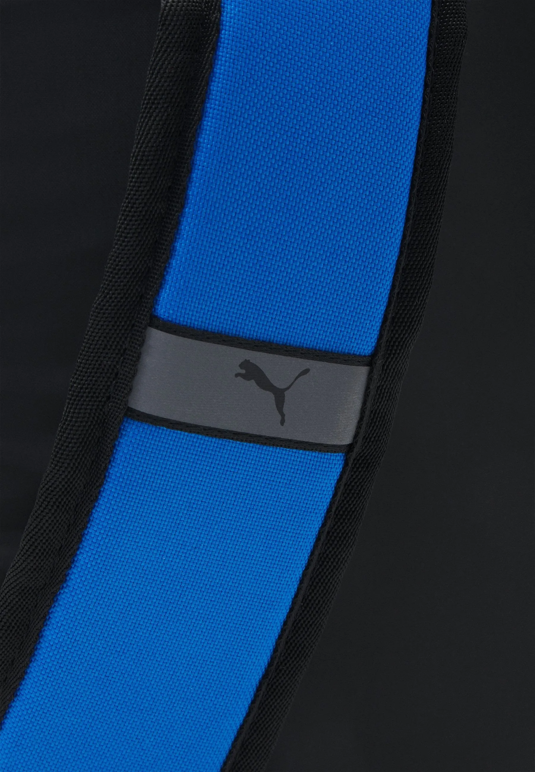 Backpack Puma Teamgoal Core Unisex, black/blue
