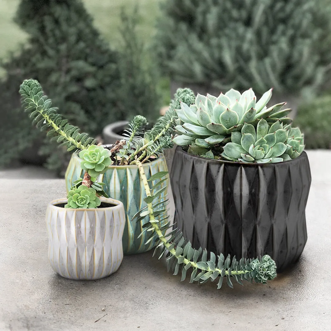 Ceramic Pot