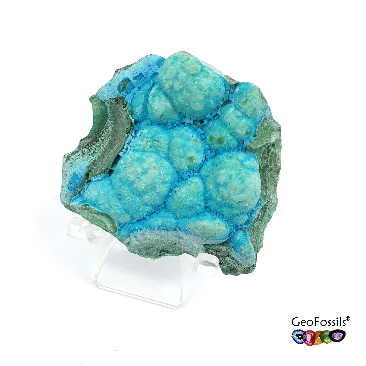 Natural Botryoidal Chrysocolla Mineral Specimen