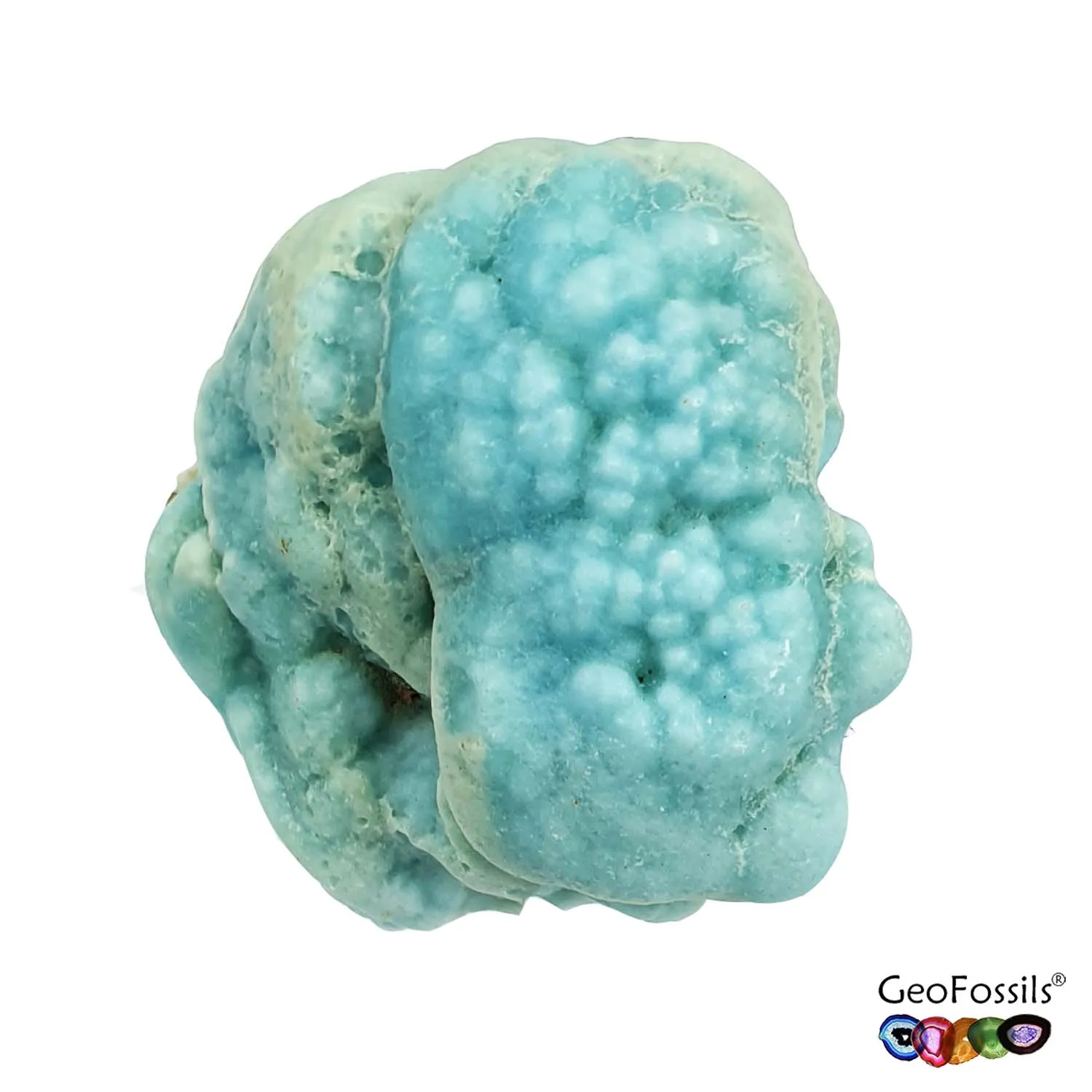 Natural Botryoidal Chrysocolla Mineral Specimen