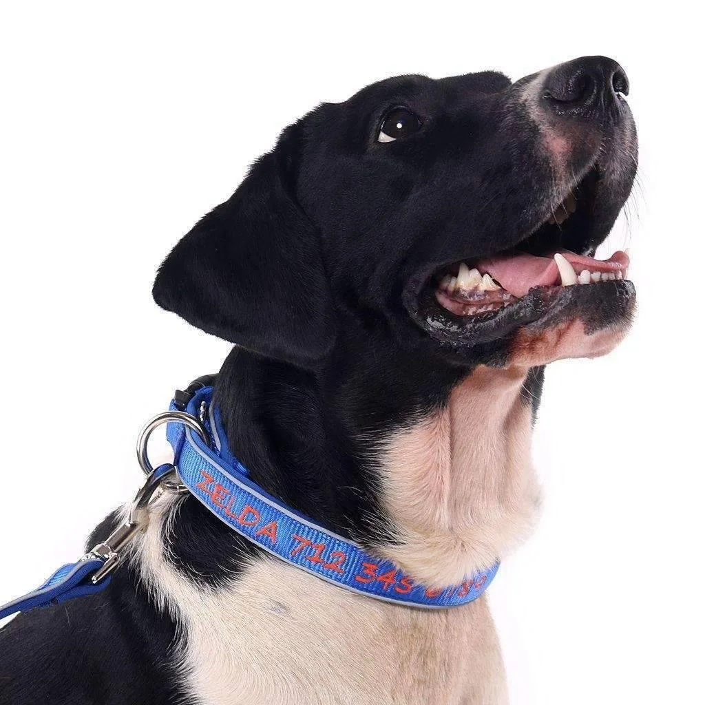 (NEW DESIGN) Super Premium - Nylon & Padded Neoprene with Safety Reflection Strips Dog Collars
