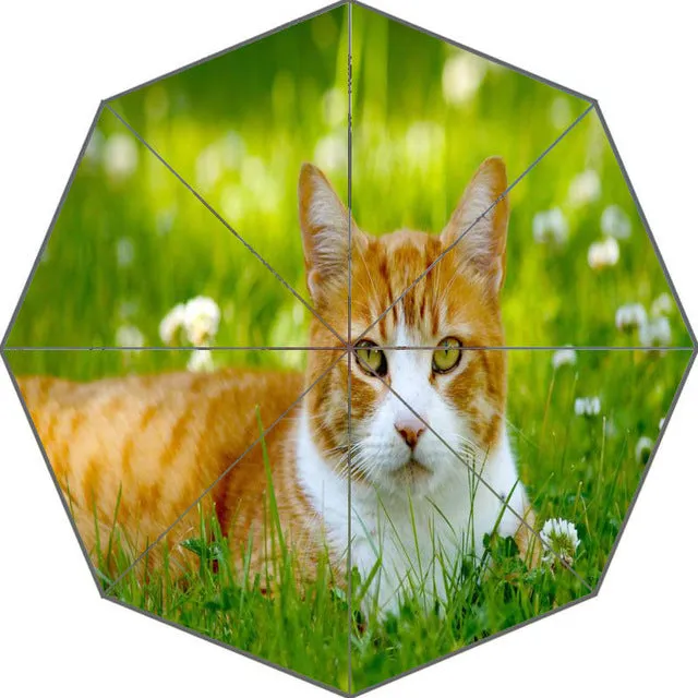 Nice Cartoon Kitten Cat Umbrella Custom Sunny and Rainy Umbrella Design Portable Fashion Stylish Useful Umbrellas Good Gift